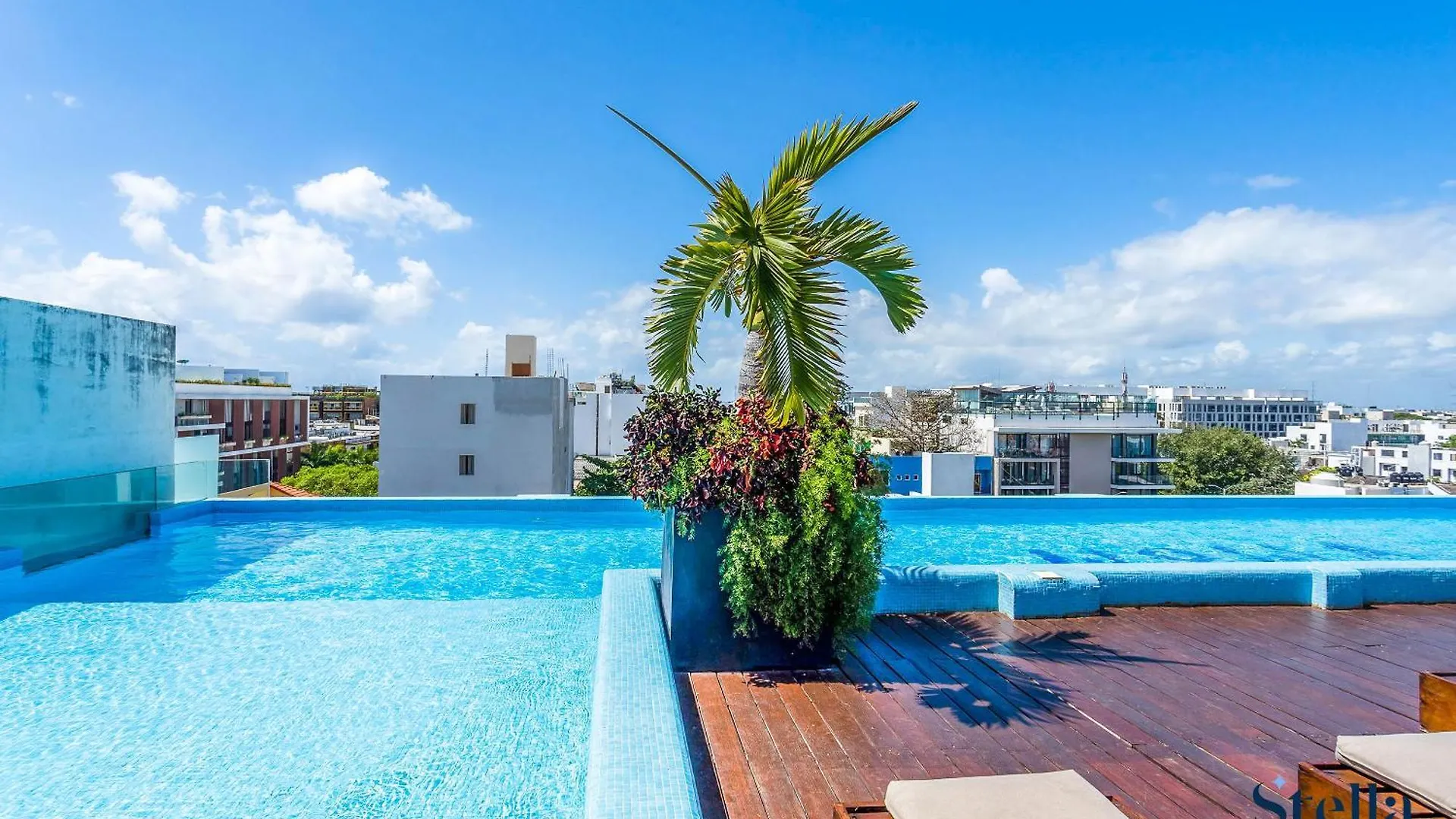Condos With Roof Pool Half Block To 5Th Ave Playa del Carmen Mexico