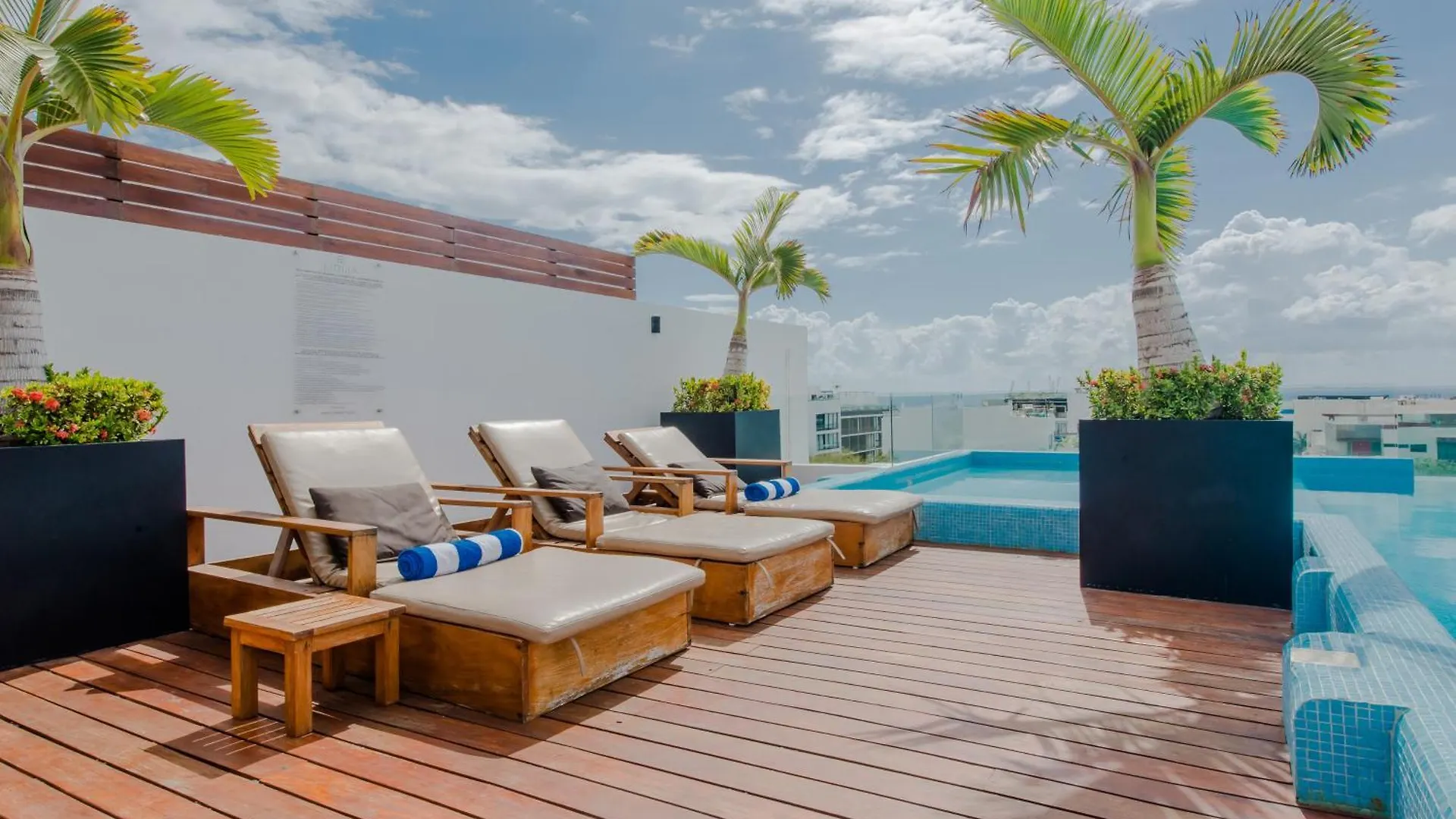 Condos With Roof Pool Half Block To 5Th Ave Playa del Carmen 0*,  Mexico